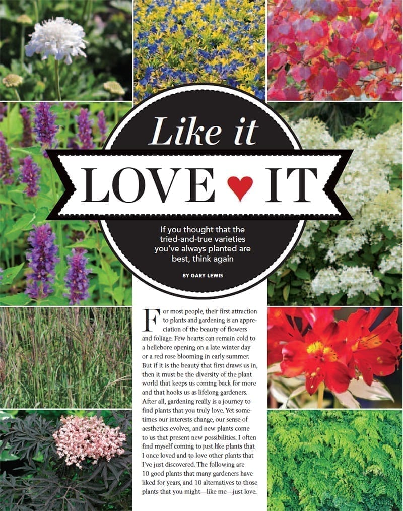 Like It, Love It, by Gary Lewis, Fine Gardening Magazine